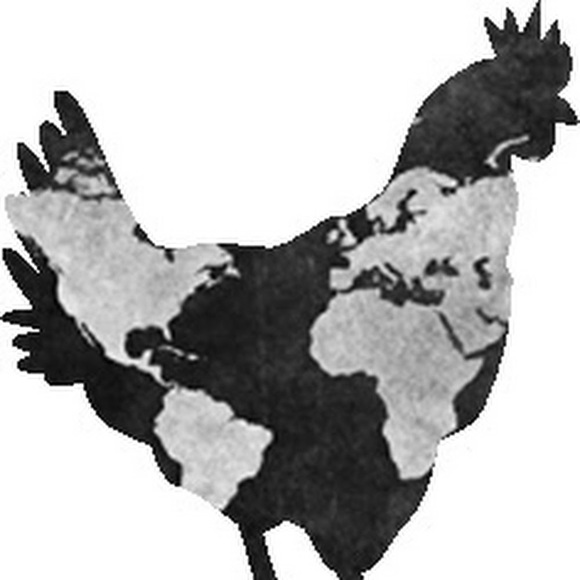 Meet your Posher, M - Picture 1 of 1